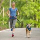 Motivation Design, LLC K9 Excursion Dog Running Belt Motivation Design, LLC K9 Excursion Dog Running Belt