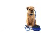 Mountain Paws Collapsible Dog Food Bowl Blue Small Mountain Paws Collapsible Dog Food Bowl Blue Small