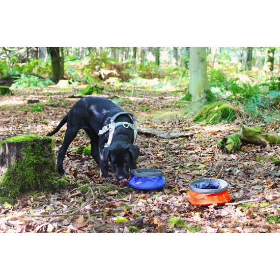 Mountain Paws Collapsible Dog Food Bowl Blue Small Mountain Paws Collapsible Dog Food Bowl Blue Small