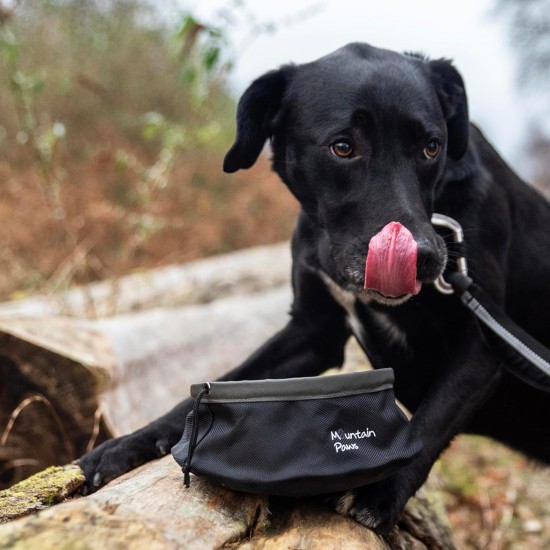 Mountain Paws Collapsible Lightweight Dog Bowl with Drawstring Mountain Paws Collapsible Lightweight Dog Bowl with Drawstring