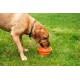 Mountain Paws Collapsible Silicone Dog Bowl with Attachment Loop
