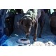 Mountain Paws Splashproof Dog Bowl Capacity 1100ml