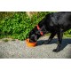 Mountain Paws Zusammenklappbarer Hundenapf aus Silikon mit Befestigungsschlaufe Mountain Paws Zusammenklappbarer Hundenapf aus Silikon mit Befestigungsschlaufe