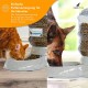 NOA Automatic Cat Water Dispenser, 3.8 L Automatic Feeder, Automatic Water Dispenser, Dry Food Dispenser for Cats and Dogs NOA Automatic Cat Water Dispenser, 3.8 L Automatic Feeder, Automatic Water Dispenser, Dry Food Dispenser for Cats and Dogs