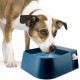 Namsan Float Drinking Bowl for Pets Automatic Dog Drinker Float Drinking Trough with Float Valve for Dogs/Cats/Chickens/Ducks/Horses/Sheep Namsan Float Drinking Bowl for Pets Automatic Dog Drinker Float Drinking Trough with Float Valve for Dogs/Cats/Chickens/Ducks/Horses/Sheep