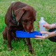 Nobby Travelling Water Bottle Nobby Travelling Water Bottle