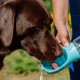 Nobby Water Bottle Mint 350ml Nobby Water Bottle Mint 350ml
