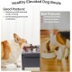 Nothing Burger Raised Dog Bowls for Large Dogs, Dog Bowl with Stand, Bamboo with 2 Stainless Steel Bowls (Grey) Nothing Burger Raised Dog Bowls for Large Dogs, Dog Bowl with Stand, Bamboo with 2 Stainless Steel Bowls (Grey)
