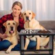 Nothing Burger Raised Dog Bowls for Large Dogs, Dog Bowl with Stand, Bamboo with 2 Stainless Steel Bowls (Grey) Nothing Burger Raised Dog Bowls for Large Dogs, Dog Bowl with Stand, Bamboo with 2 Stainless Steel Bowls (Grey)