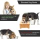 Nothing Burger Raised Dog Bowls for Large Dogs, Dog Bowl with Stand, Bamboo with 2 Stainless Steel Bowls (Grey) Nothing Burger Raised Dog Bowls for Large Dogs, Dog Bowl with Stand, Bamboo with 2 Stainless Steel Bowls (Grey)
