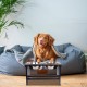 Nothing Burger Raised Dog Bowls for Large Dogs, Dog Bowl with Stand, Bamboo with 2 Stainless Steel Bowls (Grey) Nothing Burger Raised Dog Bowls for Large Dogs, Dog Bowl with Stand, Bamboo with 2 Stainless Steel Bowls (Grey)