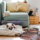 Nothing Burger Raised Dog Bowls for Large Dogs, Dog Bowl with Stand, Bamboo with 2 Stainless Steel Bowls (Grey) Nothing Burger Raised Dog Bowls for Large Dogs, Dog Bowl with Stand, Bamboo with 2 Stainless Steel Bowls (Grey)