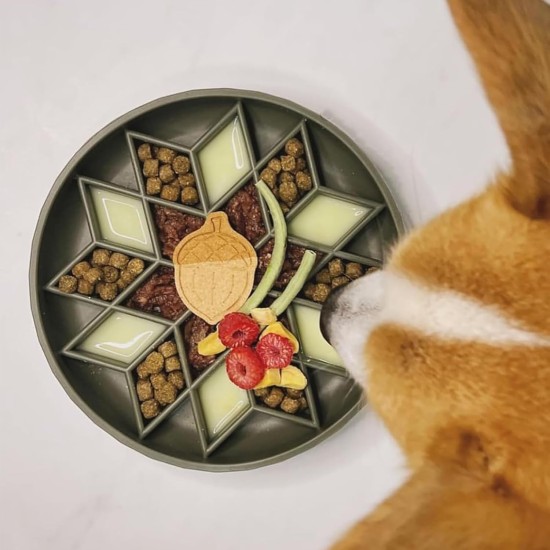 OHMO Anti-sling dog bowl, anti-slinging bowl dogs for cats puppies, healthy eating, stops bloating, non-slip, environmentally friendly silicone (coral) OHMO Anti-sling dog bowl, anti-slinging bowl dogs for cats puppies, healthy eating, stops bloating, non-slip, environmentally friendly silicone (coral)