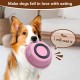 OYIWINMI Dog Bowl, Stainless Steel, Small Dogs, Food Bowl and Water Bowl with Non-Slip Silicone Base for Small, Medium Dogs and Cats (860 ml) Pack of 3
