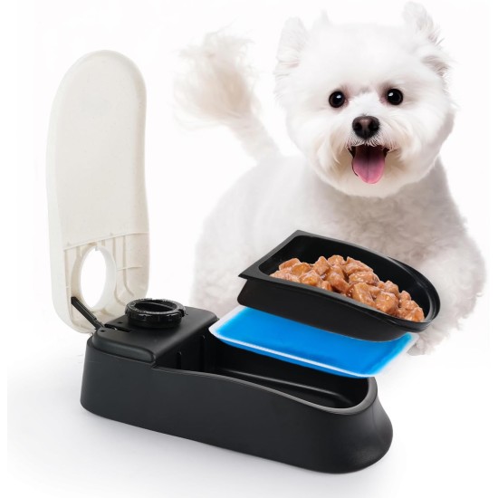 PAWISE Automatic Pet Feeding for Dogs and Cats, 1.5 Cup Feeder with 48-Hour Timer for Single PAWISE Automatic Pet Feeding for Dogs and Cats, 1.5 Cup Feeder with 48-Hour Timer for Single