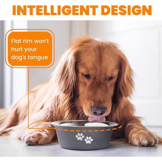PETTOM Pack of 2 Stainless Steel Dog Bowls (860 ml), Feeding Bowl for Small Dogs and Cats, Stainless Steel with Non-Slip Silicone Base, Drinking Bowl for Dogs and Cats, S - 17.5 cm, Grey PETTOM Pack of 2 Stainless Steel Dog Bowls (860 ml), Feeding Bowl for Small Dogs and Cats, Stainless Steel with Non-Slip Silicone Base, Drinking Bowl for Dogs and Cats, S - 17.5 cm, Grey