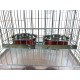 Pair of Dog Bowls for Crates/Cages or Pens, Large, 2.0 Litre, Pink Pair of Dog Bowls for Crates/Cages or Pens, Large, 2.0 Litre, Pink