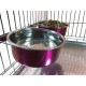 Pair of Dog Bowls for Crates/Cages or Pens, Large, 2.0 Litre, Pink Pair of Dog Bowls for Crates/Cages or Pens, Large, 2.0 Litre, Pink