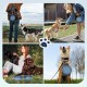 Pawaboo Foldable Dog Bowl, Pack of 2 450 ml Dog Travel Bowls, Portable Silicone Leak-Proof Drinking Bowl, Feeding Bowl with Lid and Carabiner for Dogs Cats Walks on the Go - Turquoise + Purple Pawaboo Foldable Dog Bowl, Pack of 2 450 ml Dog Travel Bowls, Portable Silicone Leak-Proof Drinking Bowl, Feeding Bowl with Lid and Carabiner for Dogs Cats Walks on the Go - Turquoise + Purple