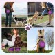 Pawaboo Foldable Dog Bowl, Pack of 2 450 ml Dog Travel Bowls, Portable Silicone Leak-Proof Drinking Bowl, Feeding Bowl with Lid and Carabiner for Dogs Cats Walks on the Go - Turquoise + Purple Pawaboo Foldable Dog Bowl, Pack of 2 450 ml Dog Travel Bowls, Portable Silicone Leak-Proof Drinking Bowl, Feeding Bowl with Lid and Carabiner for Dogs Cats Walks on the Go - Turquoise + Purple