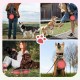 Pawaboo Foldable Dog Bowl, Pack of 2 450 ml Dog Travel Bowls, Portable Silicone Leak-Proof Drinking Bowl, Feeding Bowl with Lid and Carabiner for Dogs Cats Walks on the Go - Turquoise + Purple Pawaboo Foldable Dog Bowl, Pack of 2 450 ml Dog Travel Bowls, Portable Silicone Leak-Proof Drinking Bowl, Feeding Bowl with Lid and Carabiner for Dogs Cats Walks on the Go - Turquoise + Purple