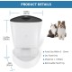 Pawmate 4L Button Operation Automatic Cat Feeder with Timer, Pet Feeder with Programmable Up to 15 Portion Control, 6 Meals Daily Pawmate 4L Button Operation Automatic Cat Feeder with Timer, Pet Feeder with Programmable Up to 15 Portion Control, 6 Meals Daily
