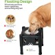 Pawque Raised Dog Bowl, Water Bowl for Dogs, 80 oz Stand with Adjustable 3 Heights (6.1 Inches, 7.7 Inches, 9.3 Inches) for Medium and Small Dogs, No-Spill and Non-Slip Dog Bowl Pawque Raised Dog Bowl, Water Bowl for Dogs, 80 oz Stand with Adjustable 3 Heights (6.1 Inches, 7.7 Inches, 9.3 Inches) for Medium and Small Dogs, No-Spill and Non-Slip Dog Bowl