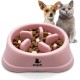Pet Bowl for Cats & Small Dogs, Small Animals, Slow and Healthy Eating, Promotes Animal Digestion, Anti Vomiting, Design with Non-Slip Feet (Small, Pink) Pet Bowl for Cats & Small Dogs, Small Animals, Slow and Healthy Eating, Promotes Animal Digestion, Anti Vomiting, Design with Non-Slip Feet (Small, Pink)