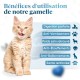 Pet Bowl for Cats & Small Dogs, Small Animals, Slow and Healthy Eating, Promotes Animal Digestion, Anti Vomiting, Design with Non-Slip Feet (Small, Pink) Pet Bowl for Cats & Small Dogs, Small Animals, Slow and Healthy Eating, Promotes Animal Digestion, Anti Vomiting, Design with Non-Slip Feet (Small, Pink)