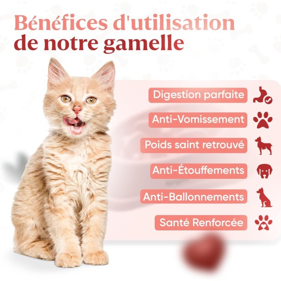 Pet Bowl for Cats & Small Dogs, Small Animals, Slow and Healthy Eating, Promotes Animal Digestion, Anti Vomiting, Design with Non-Slip Feet (Small, Pink) Pet Bowl for Cats & Small Dogs, Small Animals, Slow and Healthy Eating, Promotes Animal Digestion, Anti Vomiting, Design with Non-Slip Feet (Small, Pink)
