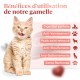 Pet Bowl for Cats & Small Dogs, Small Animals, Slow and Healthy Eating, Promotes Animal Digestion, Anti Vomiting, Design with Non-Slip Feet (Small, Pink) Pet Bowl for Cats & Small Dogs, Small Animals, Slow and Healthy Eating, Promotes Animal Digestion, Anti Vomiting, Design with Non-Slip Feet (Small, Pink)