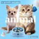 Pet Bowl for Cats & Small Dogs, Small Animals, Slow and Healthy Eating, Promotes Animal Digestion, Anti Vomiting, Design with Non-Slip Feet (Small, Pink) Pet Bowl for Cats & Small Dogs, Small Animals, Slow and Healthy Eating, Promotes Animal Digestion, Anti Vomiting, Design with Non-Slip Feet (Small, Pink)