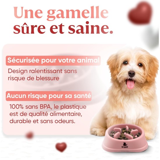 Pet Bowl for Cats & Small Dogs, Small Animals, Slow and Healthy Eating, Promotes Animal Digestion, Anti Vomiting, Design with Non-Slip Feet (Small, Pink) Pet Bowl for Cats & Small Dogs, Small Animals, Slow and Healthy Eating, Promotes Animal Digestion, Anti Vomiting, Design with Non-Slip Feet (Small, Pink)