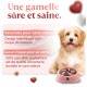 Pet Bowl for Cats & Small Dogs, Small Animals, Slow and Healthy Eating, Promotes Animal Digestion, Anti Vomiting, Design with Non-Slip Feet (Small, Pink) Pet Bowl for Cats & Small Dogs, Small Animals, Slow and Healthy Eating, Promotes Animal Digestion, Anti Vomiting, Design with Non-Slip Feet (Small, Pink)