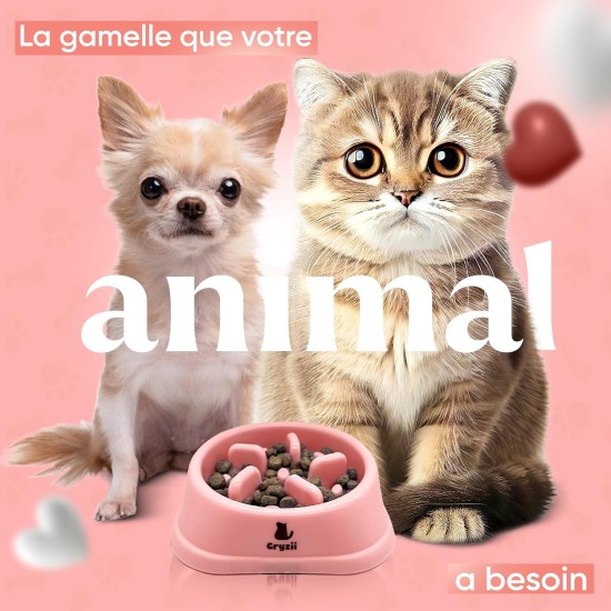 Pet Bowl for Cats & Small Dogs, Small Animals, Slow and Healthy Eating, Promotes Animal Digestion, Anti Vomiting, Design with Non-Slip Feet (Small, Pink) Pet Bowl for Cats & Small Dogs, Small Animals, Slow and Healthy Eating, Promotes Animal Digestion, Anti Vomiting, Design with Non-Slip Feet (Small, Pink)