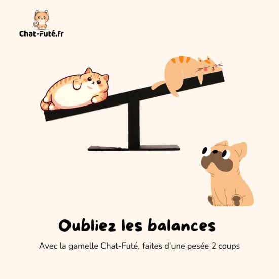 Pet Bowl with Integrated Scale for Cats and Dogs - Smart Bowl for Real Time Weight Control - Cat and Dog Bowl Chat-Futé Pet Bowl with Integrated Scale for Cats and Dogs - Smart Bowl for Real Time Weight Control - Cat and Dog Bowl Chat-Futé