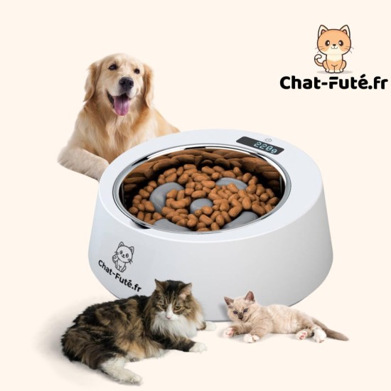 Pet Bowl with Integrated Scale for Cats and Dogs - Smart Bowl for Real Time Weight Control - Cat and Dog Bowl Chat-Futé Pet Bowl with Integrated Scale for Cats and Dogs - Smart Bowl for Real Time Weight Control - Cat and Dog Bowl Chat-Futé