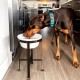 Pet Feeder, Dog Feeder, Dog Feeder, Dog Bowl, Pet Station, Pet Feeder (X-Large, White) Pet Feeder, Dog Feeder, Dog Feeder, Dog Bowl, Pet Station, Pet Feeder (X-Large, White)