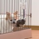 Pet Rehydration Station Pet Rehydration Station