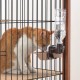 Pet Rehydration Station Pet Rehydration Station