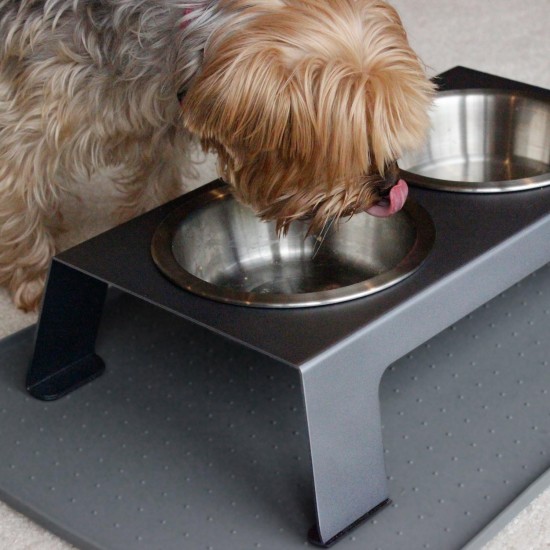 PetFusion Elevated Pet Feeder in Premium Anodized Aluminum (Short 10CM). 3 U.S. Food Grade SS bowls (1 shallow) PetFusion Elevated Pet Feeder in Premium Anodized Aluminum (Short 10CM). 3 U.S. Food Grade SS bowls (1 shallow)