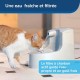 PetSafe Drinkwell Mini Water Fountain 1.2 Litre BPA Free Organic Filter Quiet Non-Slip Water Fountain for Dogs and Cats