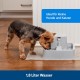 PetSafe Drinkwell Water Fountain Adjustable Flow Easy Clean Fountain for Pets PetSafe Drinkwell Water Fountain Adjustable Flow Easy Clean Fountain for Pets
