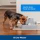 PetSafe Drinkwell Water Fountain Adjustable Flow Easy Clean Fountain for Pets PetSafe Drinkwell Water Fountain Adjustable Flow Easy Clean Fountain for Pets
