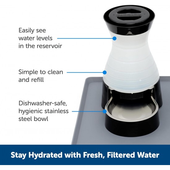 PetSafe Healthy Pet Water Station, Dog and Cat Water System with Stainless Steel Bowl, Small, 64 oz. PetSafe Healthy Pet Water Station, Dog and Cat Water System with Stainless Steel Bowl, Small, 64 oz.