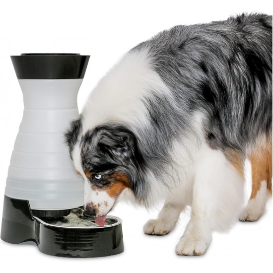 PetSafe Healthy Pet Water Station, Dog and Cat Water System with Stainless Steel Bowl, Small, 64 oz. PetSafe Healthy Pet Water Station, Dog and Cat Water System with Stainless Steel Bowl, Small, 64 oz.