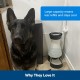 PetSafe Healthy Pet Water Station, Dog and Cat Water System with Stainless Steel Bowl, Small, 64 oz. PetSafe Healthy Pet Water Station, Dog and Cat Water System with Stainless Steel Bowl, Small, 64 oz.