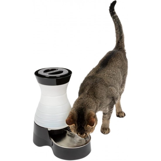 PetSafe Healthy Pet Water Station, Dog and Cat Water System with Stainless Steel Bowl, Small, 64 oz. PetSafe Healthy Pet Water Station, Dog and Cat Water System with Stainless Steel Bowl, Small, 64 oz.