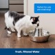 PetSafe Stainless Steel Water Fountain for Cats and Dogs - Seaside 60 oz or 360 Multi-Pet 350 ml Drinking Fountain, Seaside, Stainless Steel, Stainless Steel PetSafe Stainless Steel Water Fountain for Cats and Dogs - Seaside 60 oz or 360 Multi-Pet 350 ml Drinking Fountain, Seaside, Stainless Steel, Stainless Steel