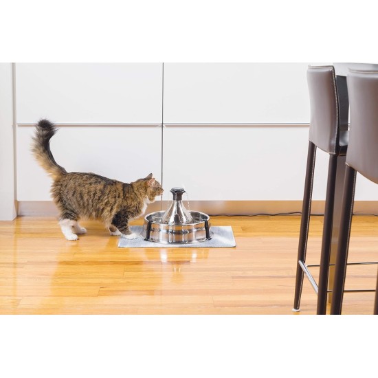 PetSafe stainless steel drinking fountain, model coastal noise or 360, cat, for cats and dogs, 1.8 litres or 3.8 litres water capacity, quiet operation, dual filtered water. PetSafe stainless steel drinking fountain, model coastal noise or 360, cat, for cats and dogs, 1.8 litres or 3.8 litres water capacity, quiet operation, dual filtered water.
